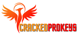 Crack Software Download
